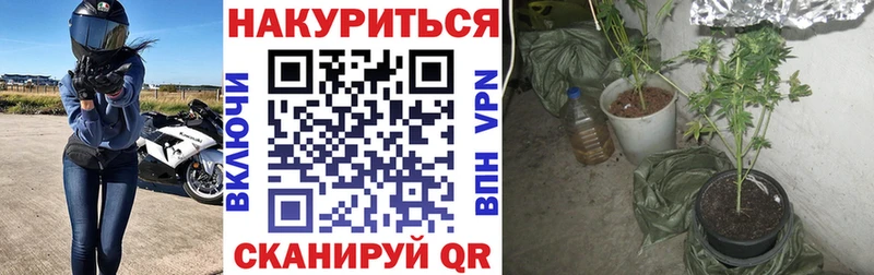 Купить наркотики цена Камешково Амфетамин Мефедрон
