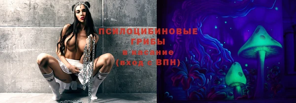 ешки Слюдянка